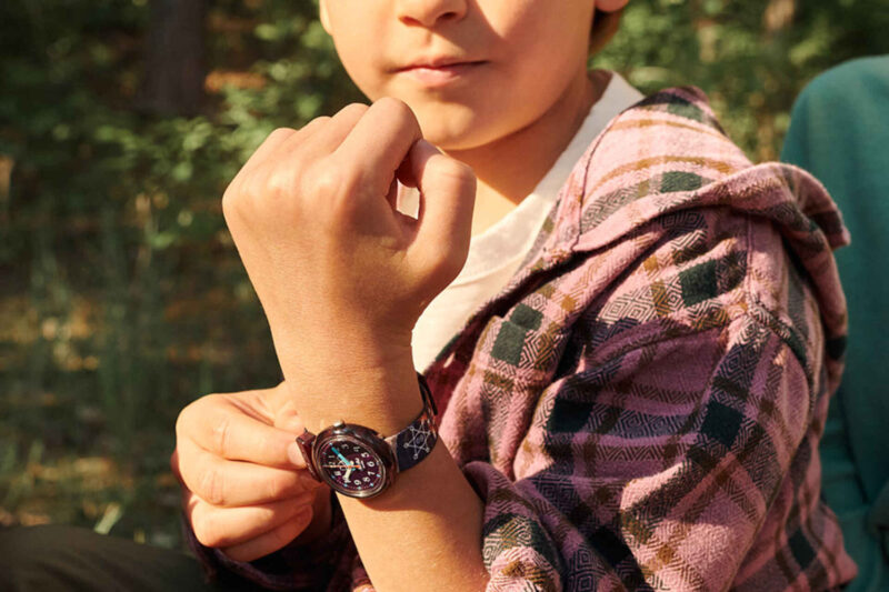 ZFPNP121_li300_ec001