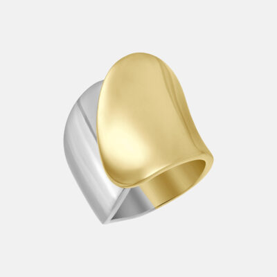 Duality - The Aurora Ring